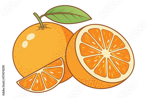 Whole and Sliced Oranges with Leaves Illustration