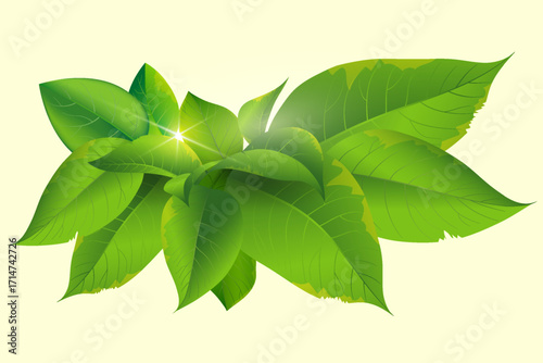 Fresh foliage with sun flare design