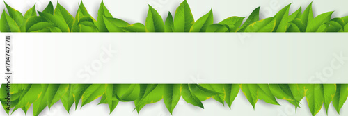 Leaf frame background template for design and invitation