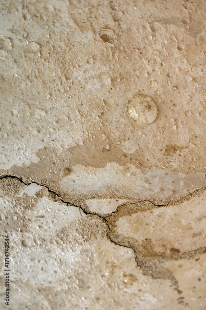 Obraz premium Water damaged ceiling, close up view, representing structural issues