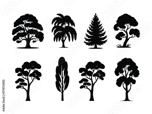 Black oak tree silhouette vector, natural woodland element with crown and foliage, perfect for backgrounds, landscape illustrations, and environmental design projects.