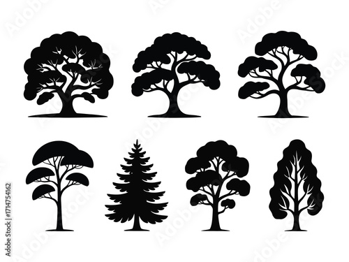 Oak tree silhouette in black color, vector illustration of wide crown and branches, natural forest element for eco-friendly design, landscapes, and botanical graphics.