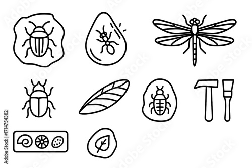 Paleontology Icon Collection. Line style icons of paleontology: extinct insect fossil, amber inclusion, ancient dragonfly,