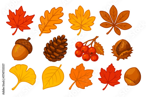 Vibrant Autumn Foliage Icons. Isometric vector illustration set of vibrant autumn nature: red maple leaf, orange oak leaf, yellow