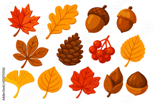 Vibrant Autumn Foliage Icons. Isometric vector illustration set of vibrant autumn nature: red maple leaf, orange oak leaf, yellow