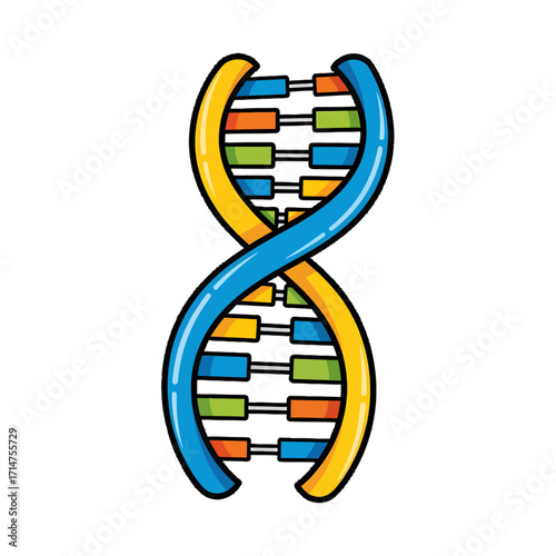 A colorful cartoon illustration of a DNA double helix structure, representing genetics and biology.