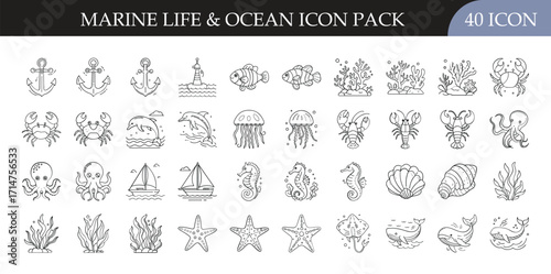 Marine Life & Ocean Outline Icon Pack - Collection of 40 outline icons featuring marine life and ocean themes, including anchors, corals, crabs, fish, jellyfish, sea turtles, shells, seaweed, seahorse