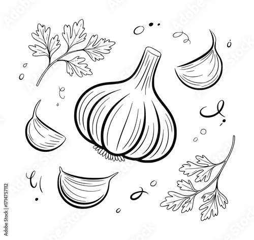Hand-drawn illustration of garlic and parsley sprigs with decorative elements