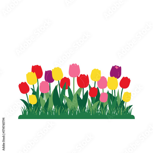 A vibrant illustration of a colorful bed of tulips blooming in lush green grass.