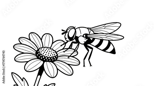 Bee drawing on flower for coloring pages for kids  
