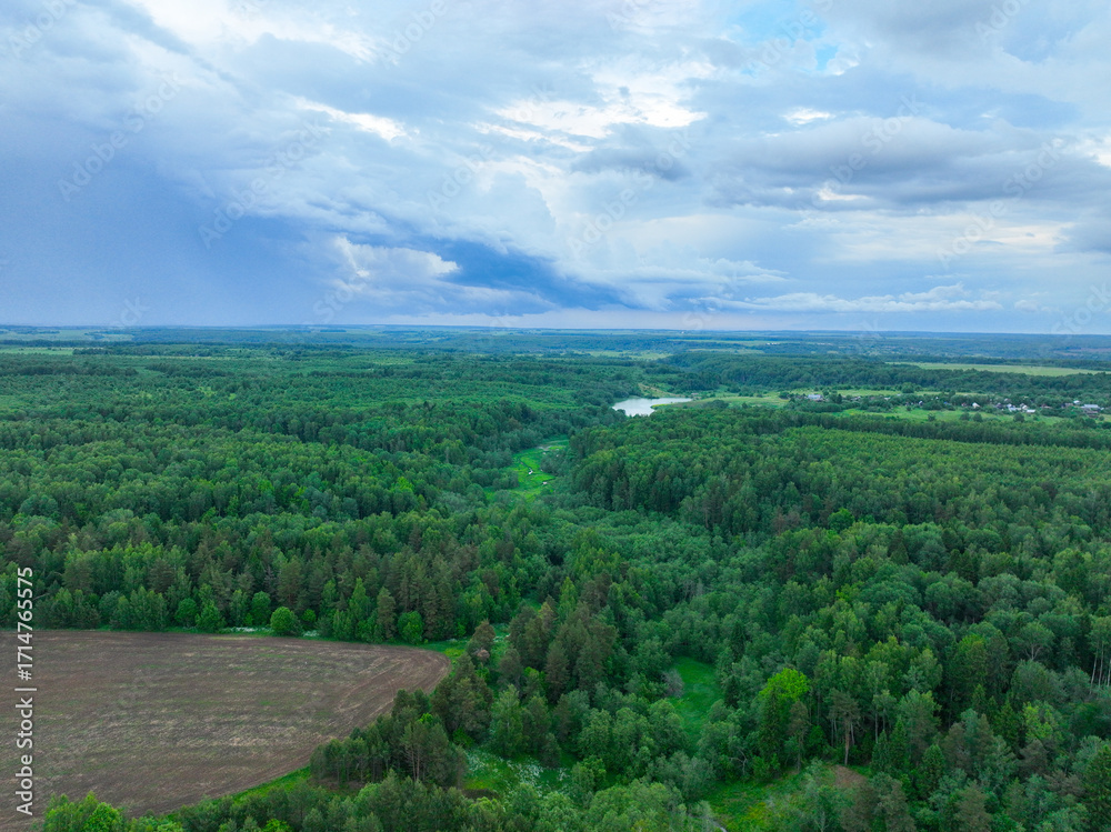 Fototapeta premium A panoramic aerial shot of a vast, dense green forest stretching to the horizon under a dramatic, cloudy sky.