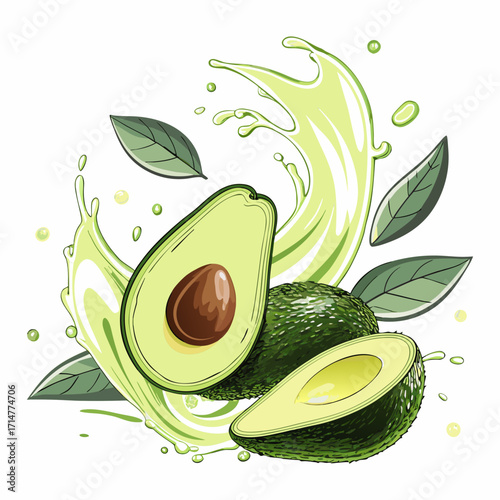 Fresh Avocado Fruit Illustration with Splash and Leaves