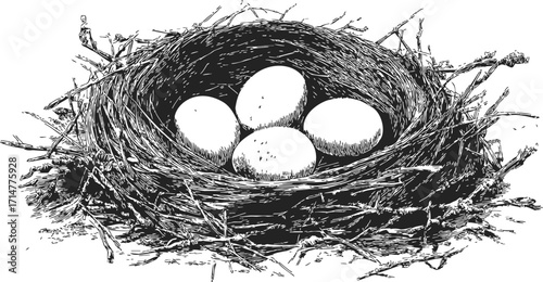 Bird nest sketch, hand drawn style with four eggs in twigs — stock vector