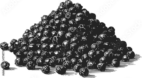 Black peppercorns sketch hand drawn pile isolated on white background — stock vector