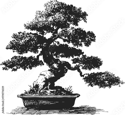 Bonsai tree sketch hand drawn style with detailed foliage and textured trunk in shallow pot — stock vector