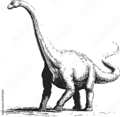 Brachiosaurus sketch hand drawn dinosaur with long neck and tail — stock vector