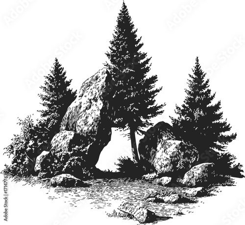 Pine trees sketch, hand drawn rocky forest landscape with large boulders — stock vector