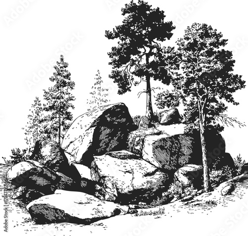 Rocky landscape sketch with large boulders and pine trees — stock vector