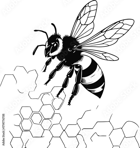 Black bold outline with white background, Outline vector of bee flying around honeycomb, clean contour 2