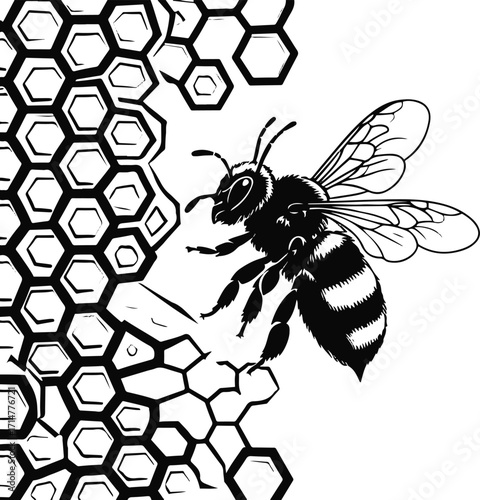Black bold outline with white background, Outline vector of bee flying around honeycomb, clean contour 1
