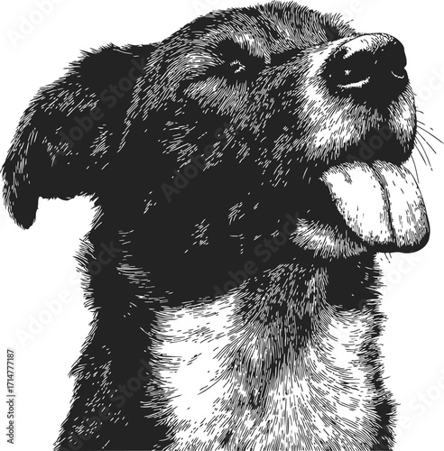 Dog portrait sketch hand drawn style with tongue out — stock vector