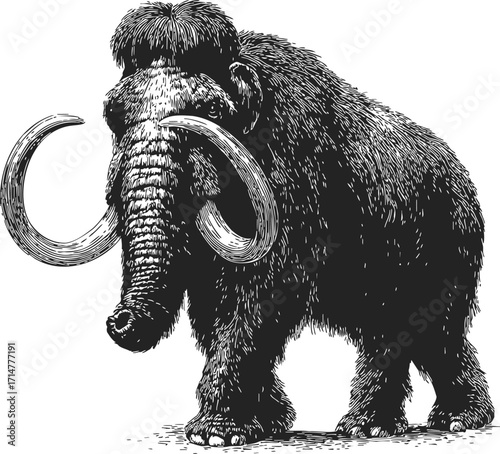 Woolly mammoth sketch hand drawn prehistoric animal with long curved tusks — stock vector