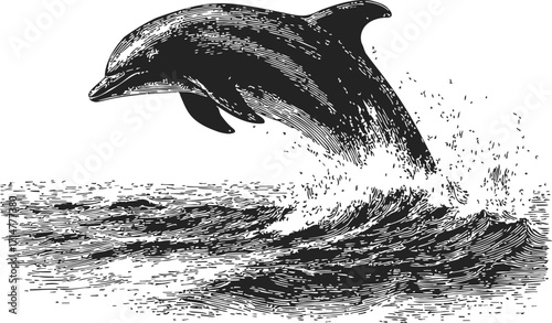 Dolphin sketch hand drawn leaping out of ocean waves — stock vector