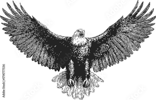 Eagle sketch hand drawn with wings spread detailed feathers — stock vector