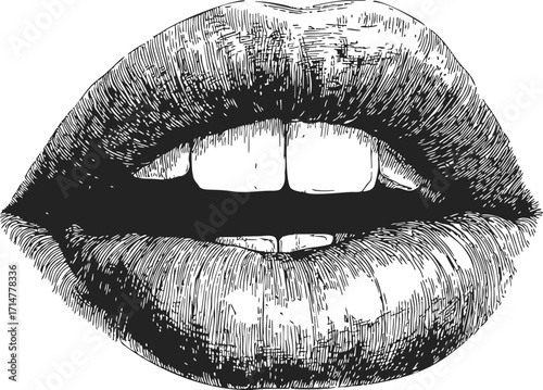 Lips sketch hand drawn style with open mouth and visible teeth — stock vector