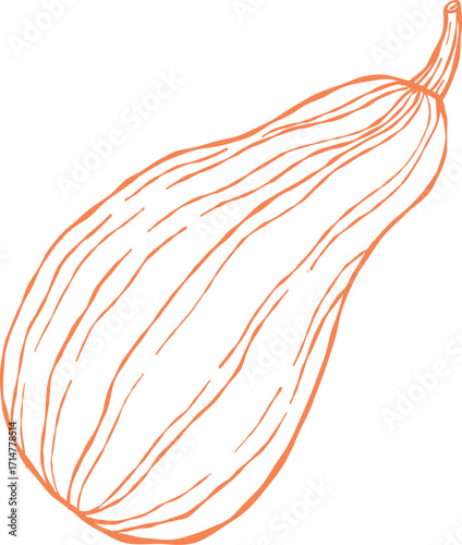 Orange pumpkin outline, Halloween clip art, autumn icon decor