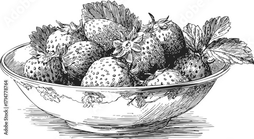 Strawberries sketch hand drawn in ceramic bowl detailed botanical style — stock vector