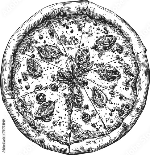 Pizza sketch hand drawn whole pizza with basil leaves and toppings — stock vector