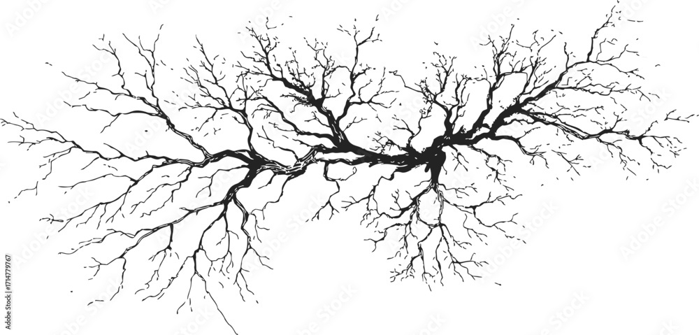 Fototapeta premium Tree branch sketch hand drawn with intricate bare twigs and detailed branching — stock vector
