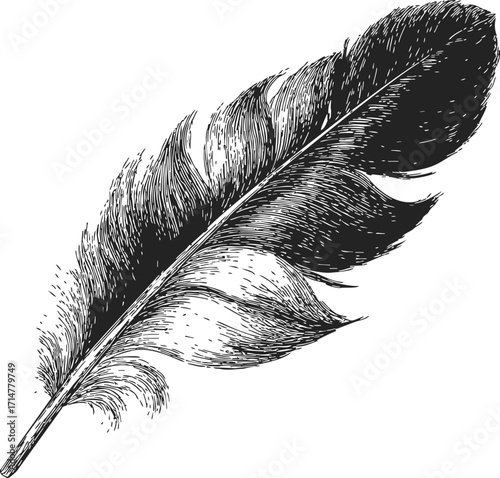 Feather sketch hand drawn detailed black and white illustration — stock vector