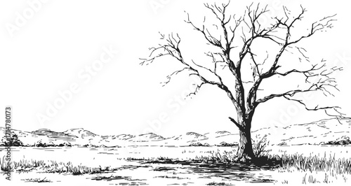 Bare tree sketch hand drawn in open field with distant mountains — stock vector