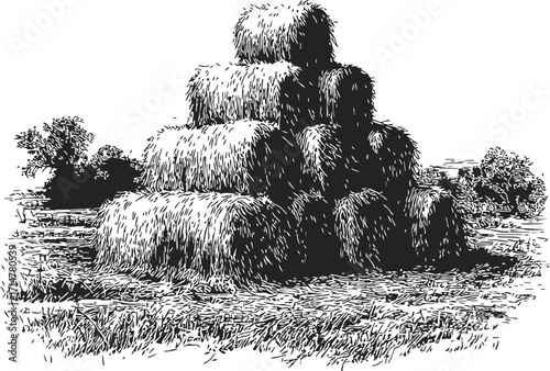 Hay bales sketch hand drawn stacked in rural field landscape — stock vector