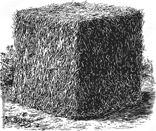 Hay bale sketch, hand drawn square bale with textured straw details — stock vector