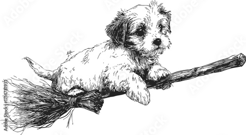 Puppy sketch hand drawn flying on broomstick fantasy scene — stock vector