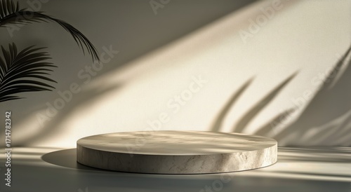 Natural Light Creates Beautiful Shadows on a Marble Display Platform in a Min...