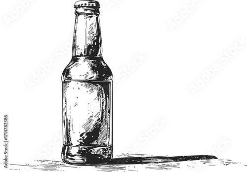 Beer bottle sketch hand drawn with detailed shading and long shadow — stock vector