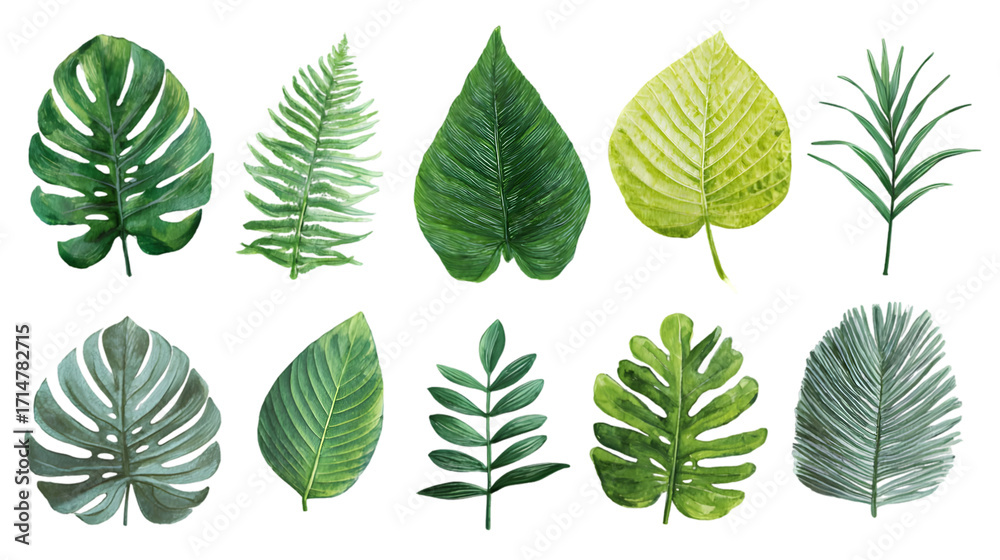 Obraz premium Collection of various green tropical leaves isolated on transparent background