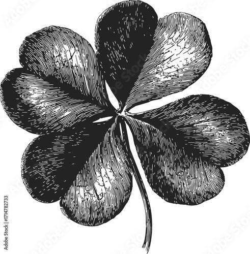 Four-leaf clover sketch hand drawn botanical lucky plant illustration — stock vector