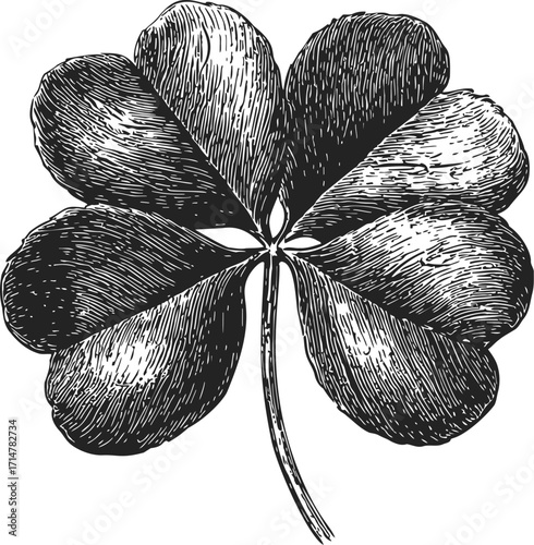 Four-leaf clover sketch, hand drawn botanical lucky plant, detailed vintage engraving — stock vector