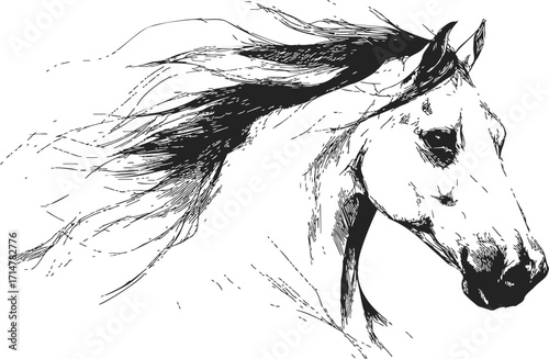 Horse head sketch, hand drawn, flowing mane, dynamic line art — stock vector