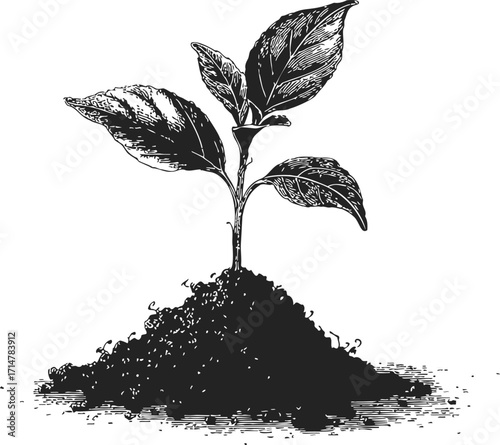 Seedling sketch hand drawn young plant with soil detailed botanical illustration — stock vector