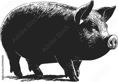 Black pig sketch hand drawn farm animal side view — stock vector