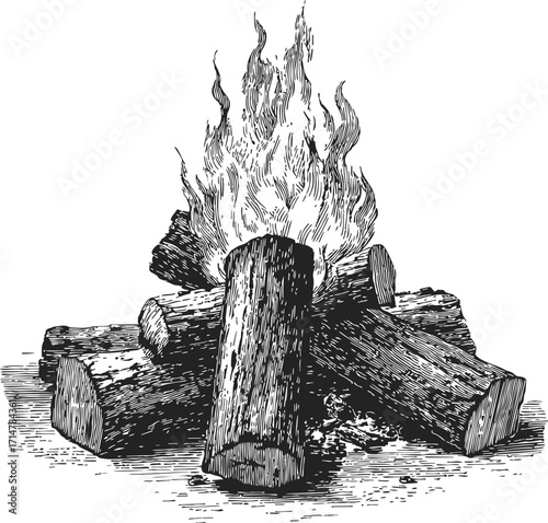 Campfire sketch hand drawn burning logs and flames outdoor scene — stock vector