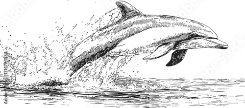 Dolphin sketch hand drawn leaping out of water with splash — stock vector