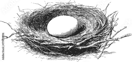 Bird nest sketch hand drawn with single egg in center — stock vector