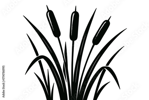High Contrast Black and White Vector Illustration of Reeds on White Background, Hand Drawn Engraving Sketch Style